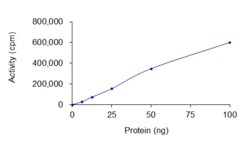 Sino Biological&nbsp;Recombinant Human c-MET/HGFR Protein (Y1230C, GST Tag), Active